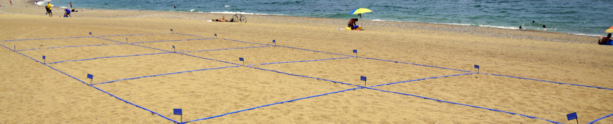 separadores de playa